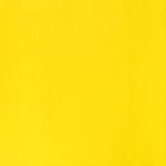 Primary Yellow